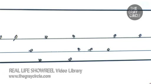 Under Currents concept image